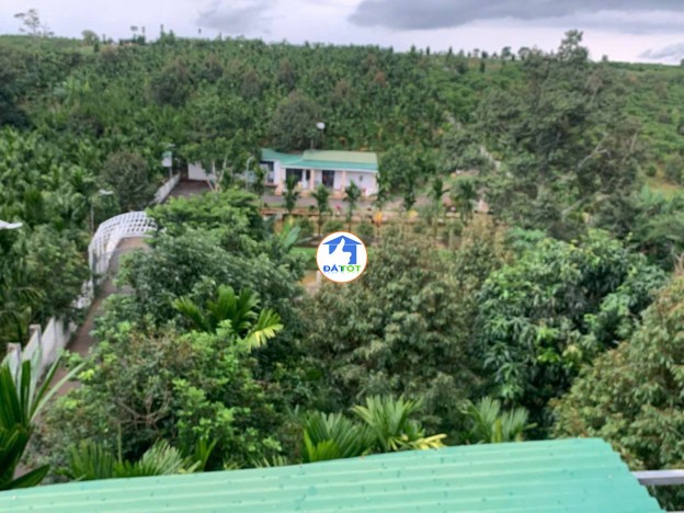 Bán Lô Đất Nghỉ Dưỡng Đẹp Như Tranh Tại Lộc An – View Hồ – Có Sẵn Nhà, Vườn