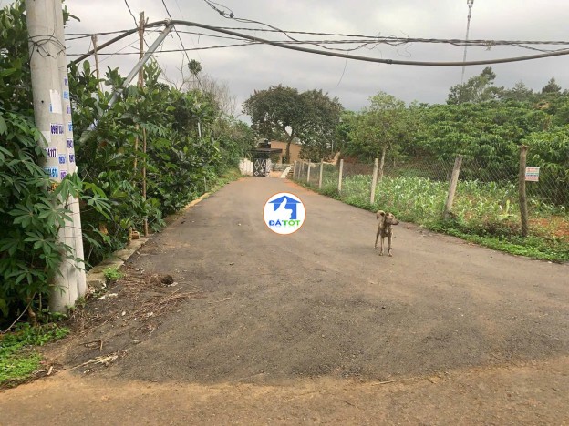 Bán Lô Đất Nghỉ Dưỡng Đẹp Như Tranh Tại Lộc An – View Hồ – Có Sẵn Nhà, Vườn