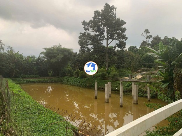 Bán Lô Đất Nghỉ Dưỡng Đẹp Như Tranh Tại Lộc An – View Hồ – Có Sẵn Nhà, Vườn